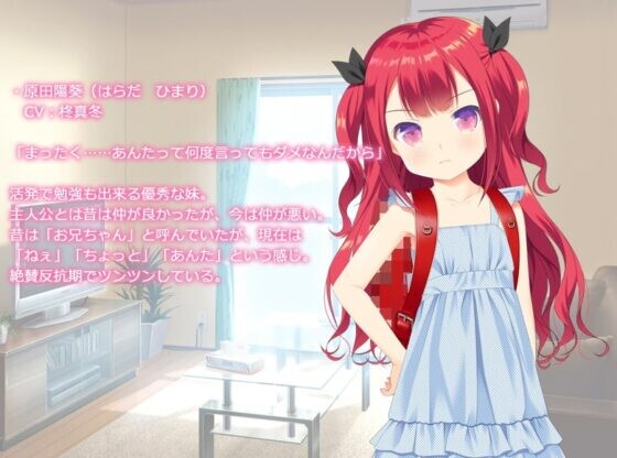 新作[日式SLG] 让傲慢妹妹闭嘴的唯一绝妙方法 生意気な妹を黙らせるたった一つの冴えた方法 AI汉化版 [560M]